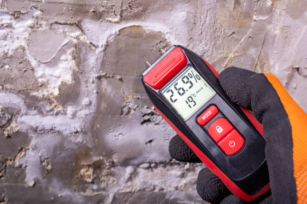 Best Professional Mold Removal  in Alma, NE