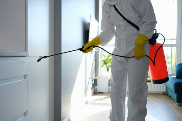 Best Commercial Mold Removal  in Alma, NE